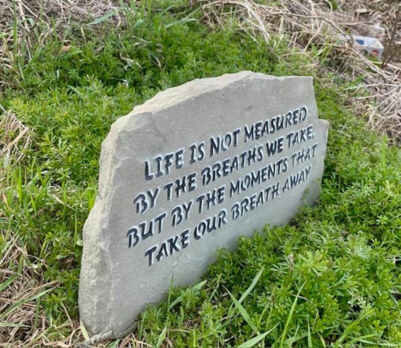 Life - Image 4