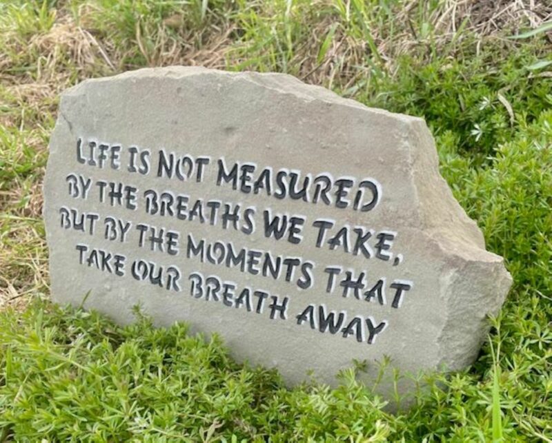 Life - Image 3
